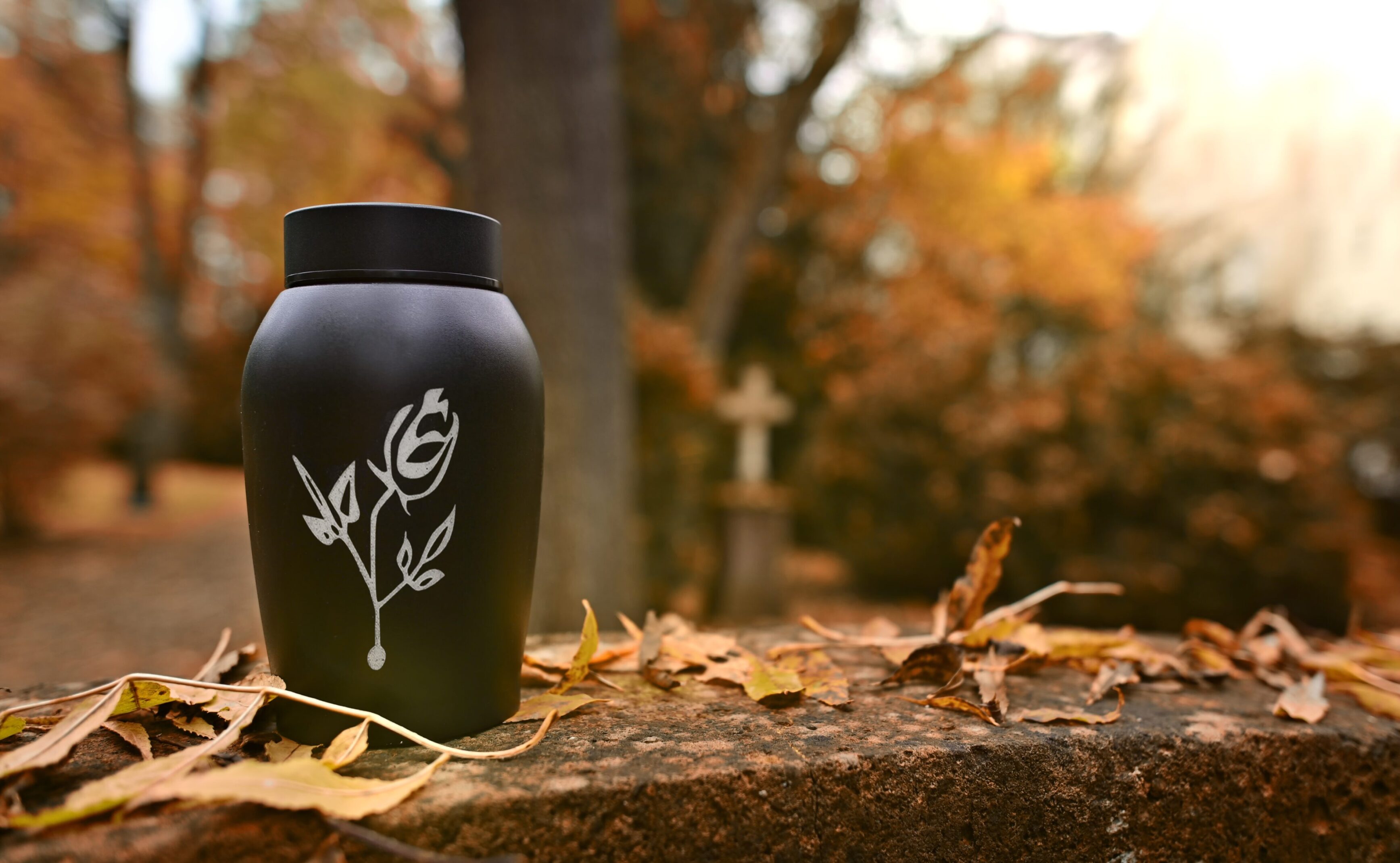 Black urn prepared for funeral in the cemetery in autumn.